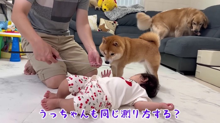仲良しな3兄妹
