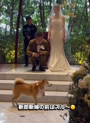 まさかのスルー