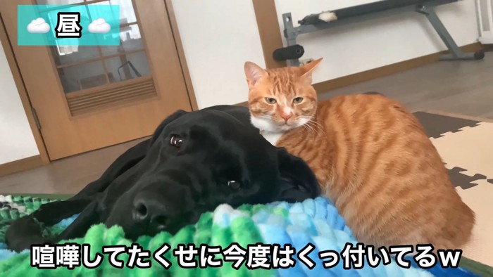 あっという間に仲直り♪