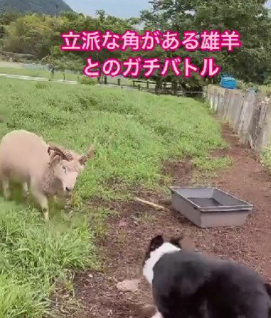 臆することなく挑みます
