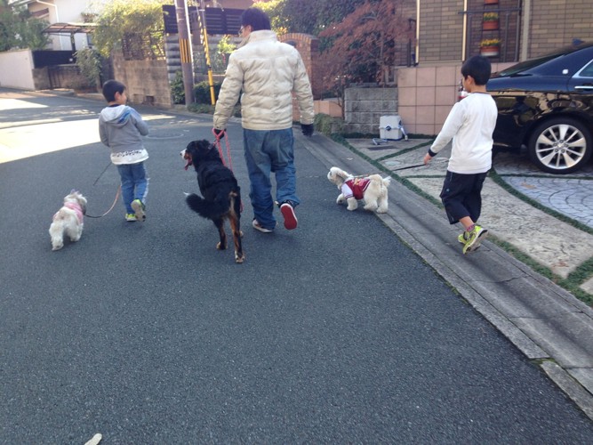 わんぱぱ子供たちと散歩