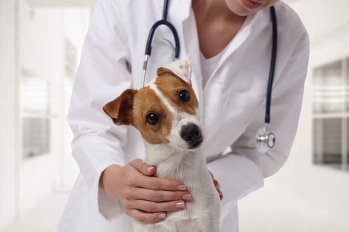 首を傾げる犬と後ろから手を添えている女性