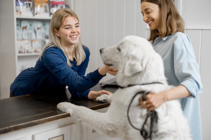 受付で犬を褒められて喜ぶ女性