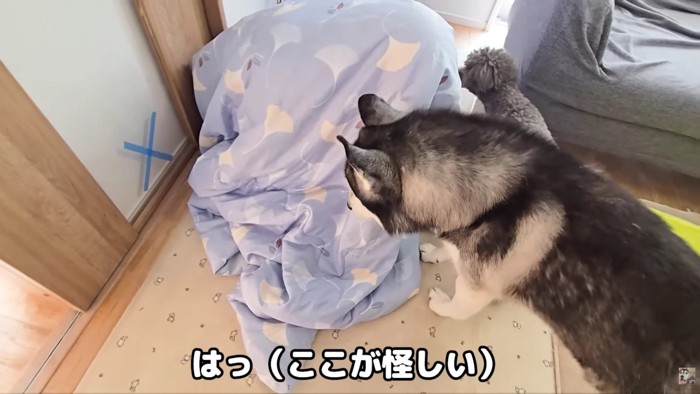 「布団の中じゃない…？」