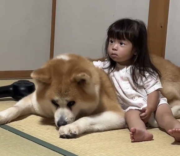 犬の背中に手を添える子ども
