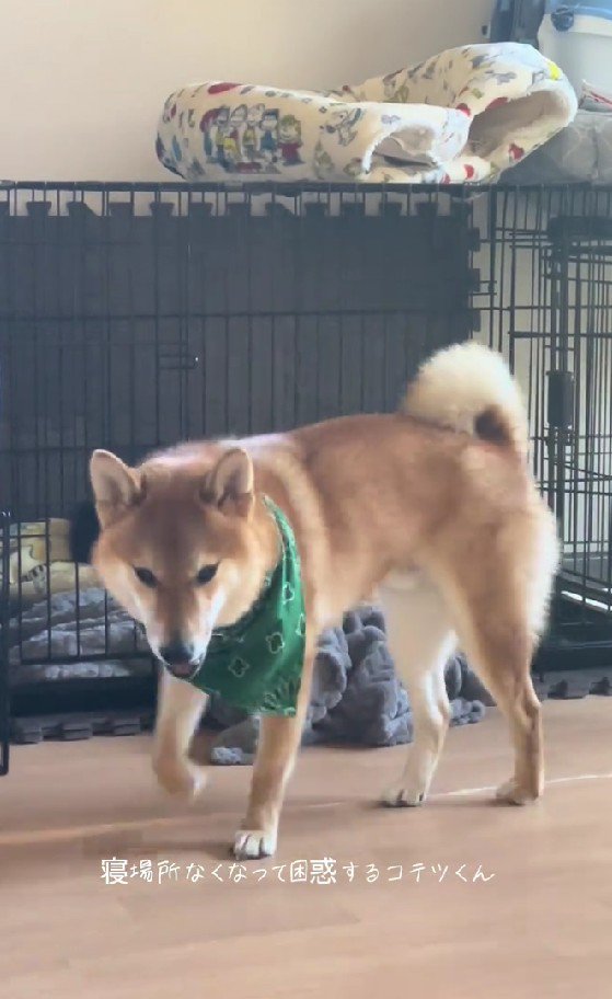 「そうだ！あそこがいい」