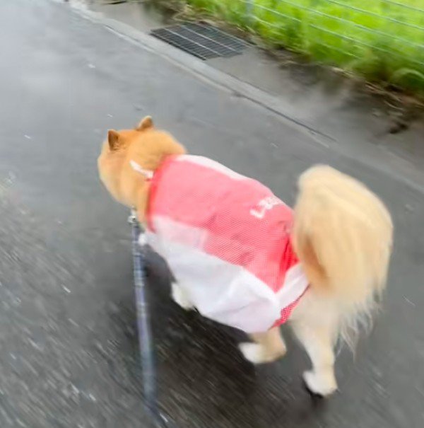 温かな笑いがあふれる一幕でした