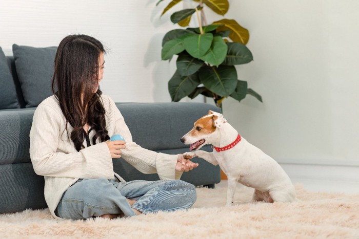 部屋で遊ぶ犬と女性