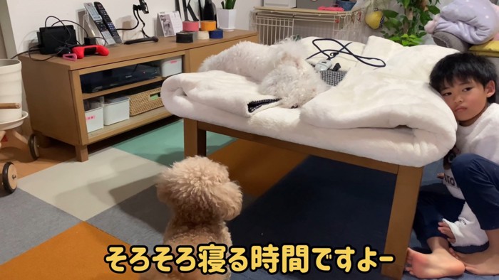 寝る前のいちごちゃん7