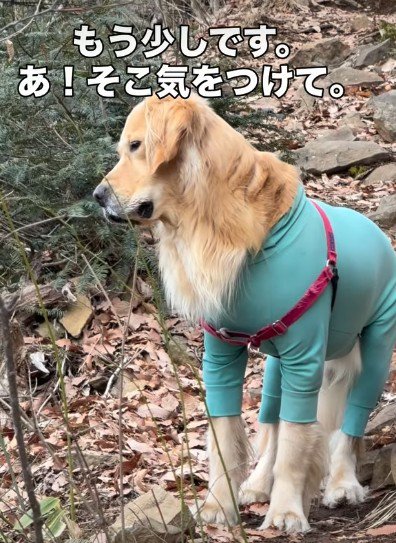 「本当に大丈夫…？」