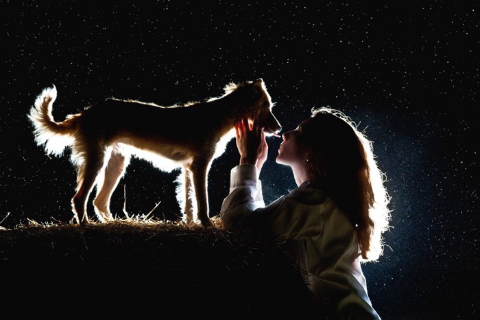 女性と犬