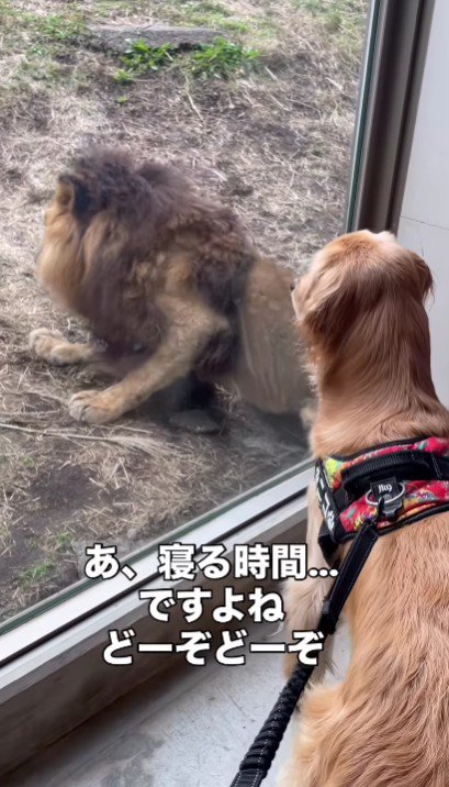 へっぴり腰で退散