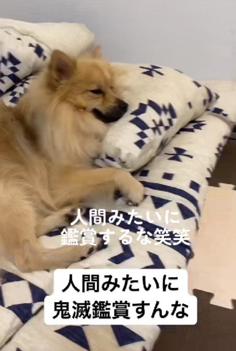 人間入ってる…？