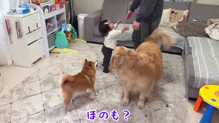 我先にと手を伸ばす