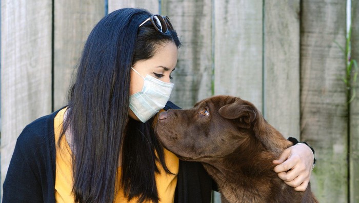 マスクした飼い主と犬