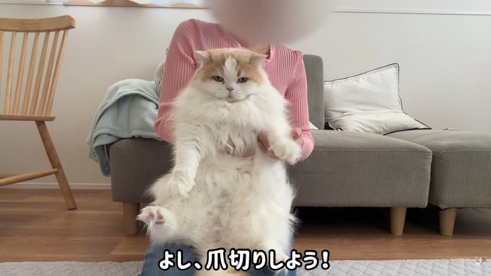 続いて爪切りをします