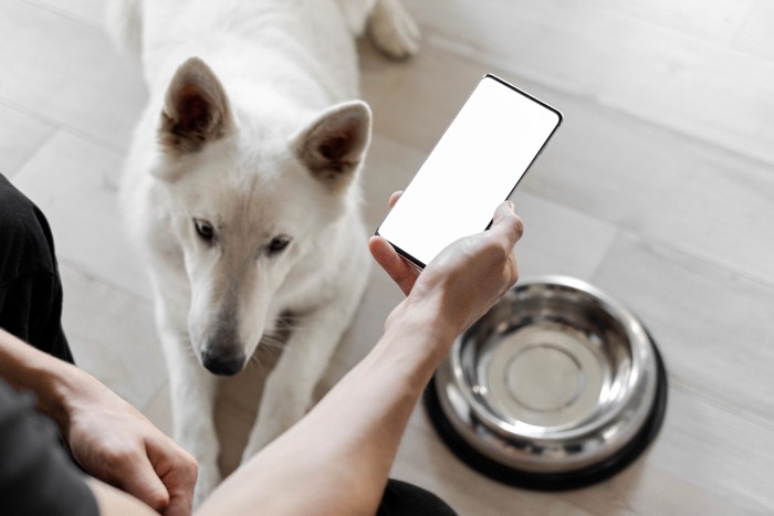 携帯電話を持つ飼い主とそばで伏せている犬