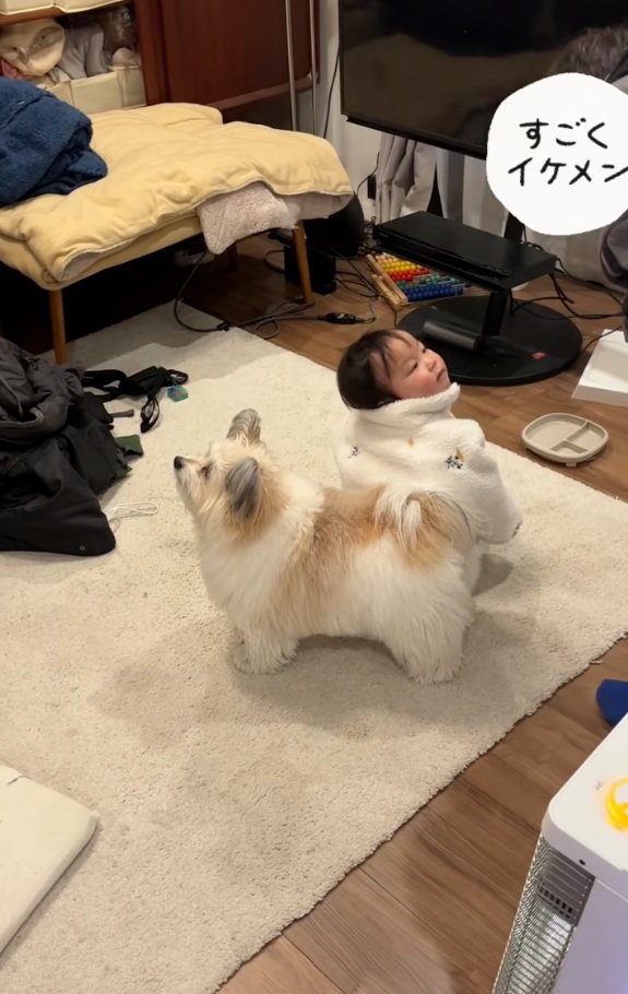 警戒する小太郎くん