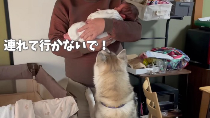 「弟を連れて行かないで！」