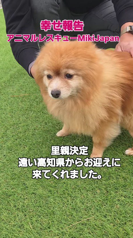 家族の近くで止まる犬