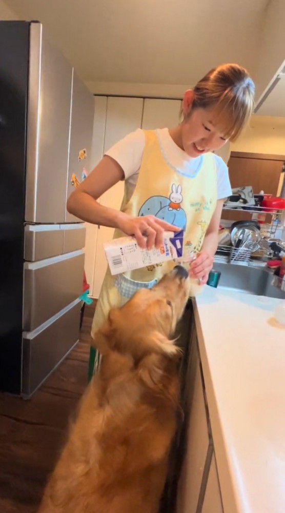 哺乳瓶に犬用ミルクを入れる飼い主