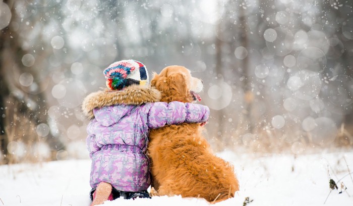 雪の中の少女と犬