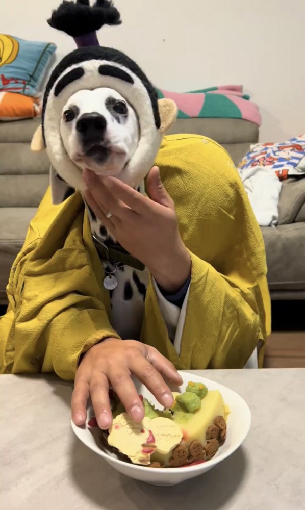 着物姿でケーキを前に座る犬