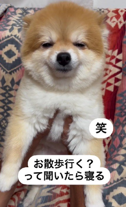 脱力感すごい