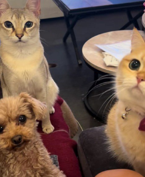 羨ましい一幕でした!