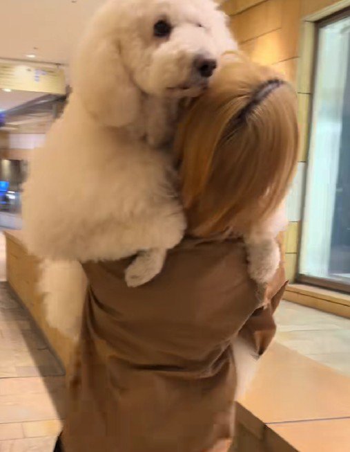 抱っこで移動することに！