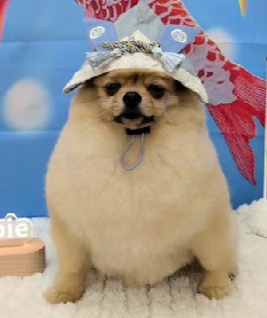 逞しすぎる…！！