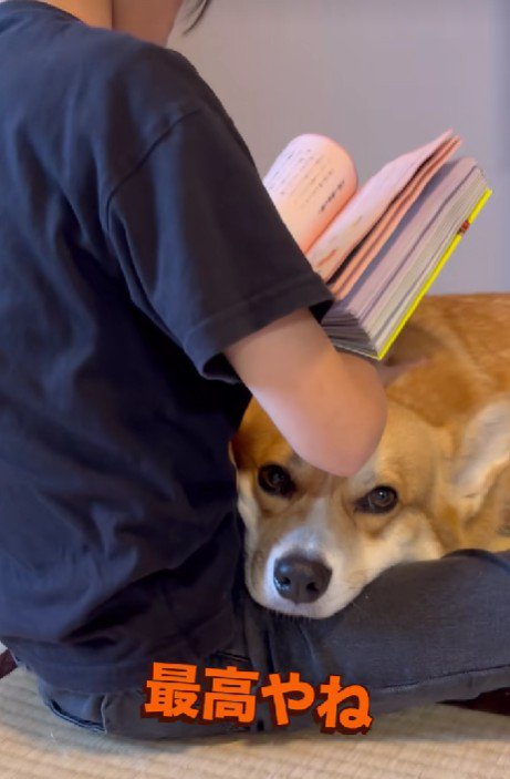 ナデナデが心地よい…♡