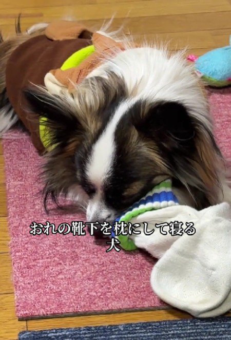 靴下が大好き♡