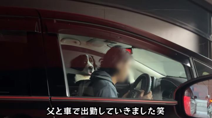 車に乗る男性と犬