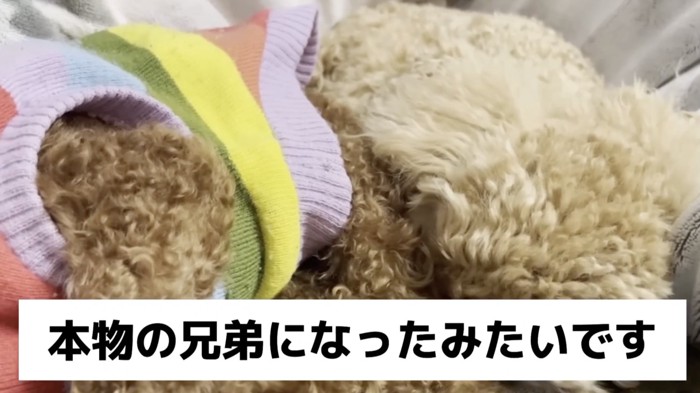 ずっと仲良くね
