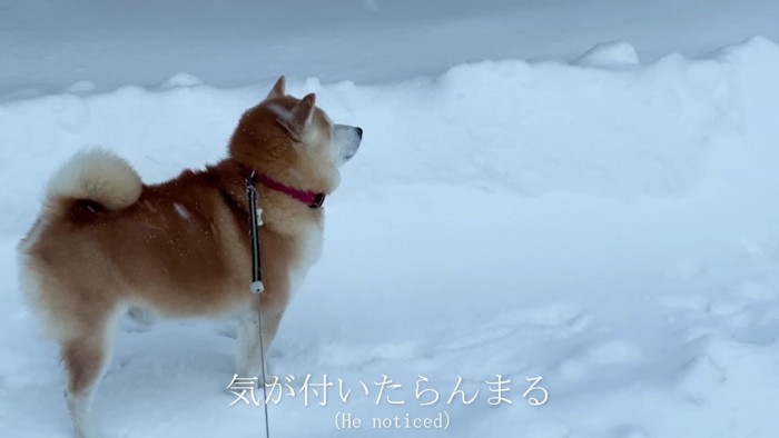お母さんに気付くと…