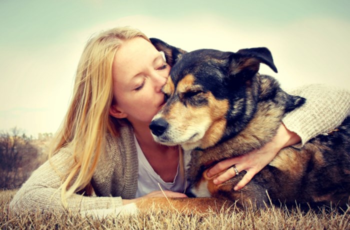 寄り添う犬と飼い主