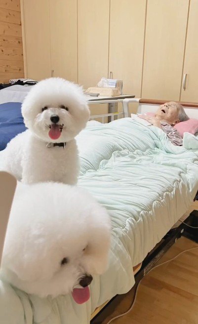 2匹との絆に感動…