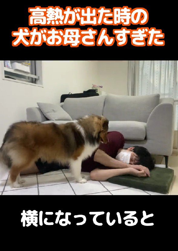 横たわっていたら…