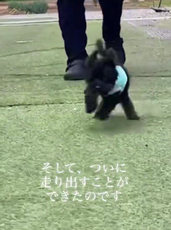 駆け回る姿に涙…