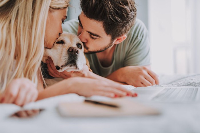 キスされる犬