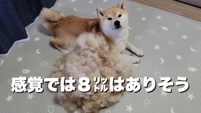 圧巻の抜け毛！！