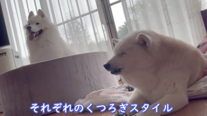 それぞれのリラックスタイムに…