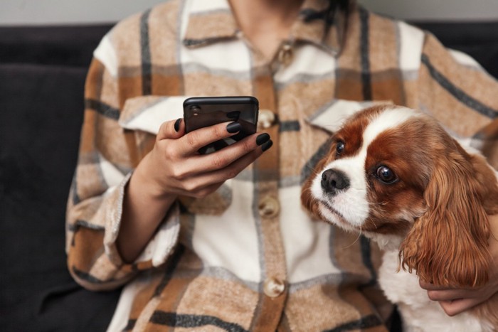 スマホを見ている人の手元をのぞき込む犬