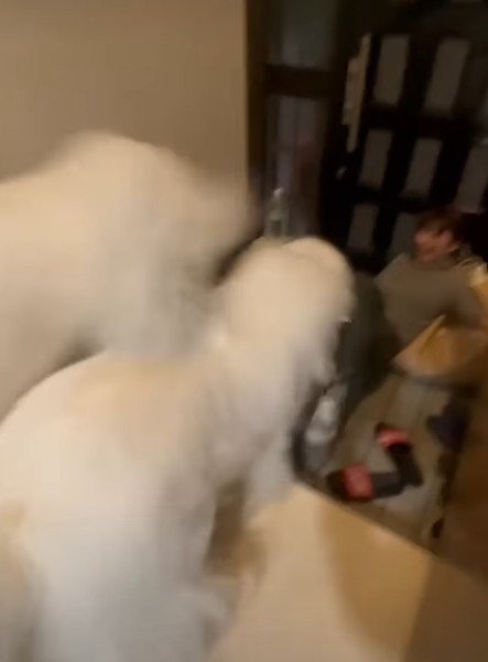 ママが倒れちゃった