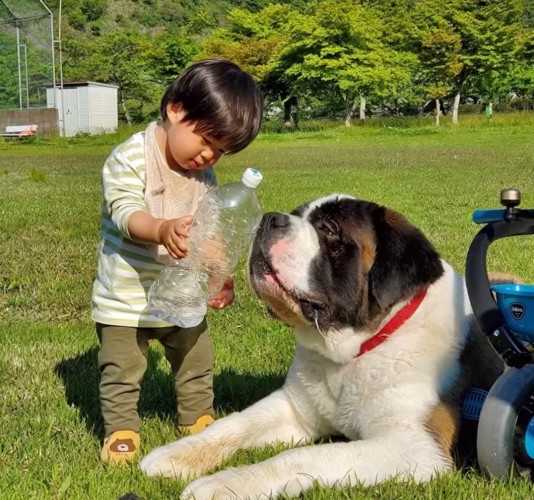 カイザーくんとの思い出7