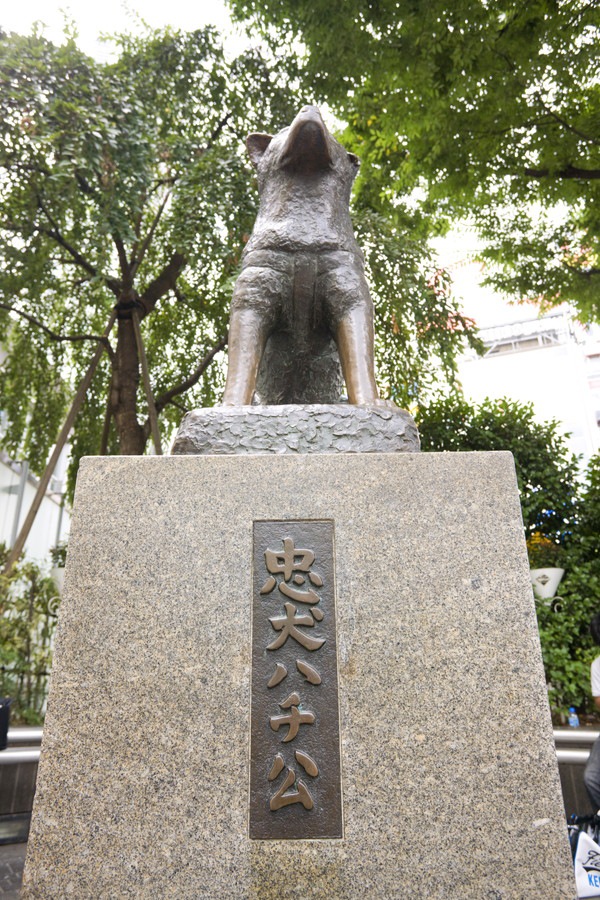 JR渋谷駅（忠犬ハチ公）