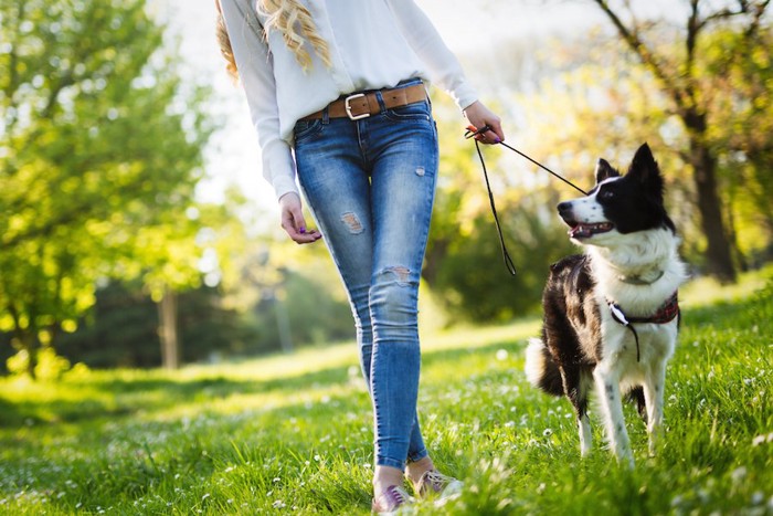 お散歩中の女性と犬