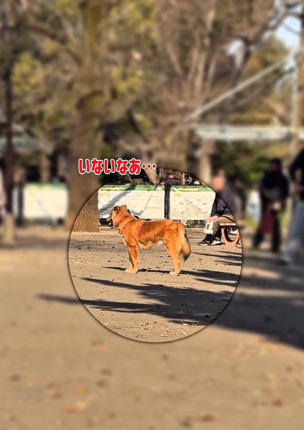 ママを探すラッキーくん