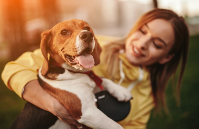 飼い主の後ろに隠れる犬